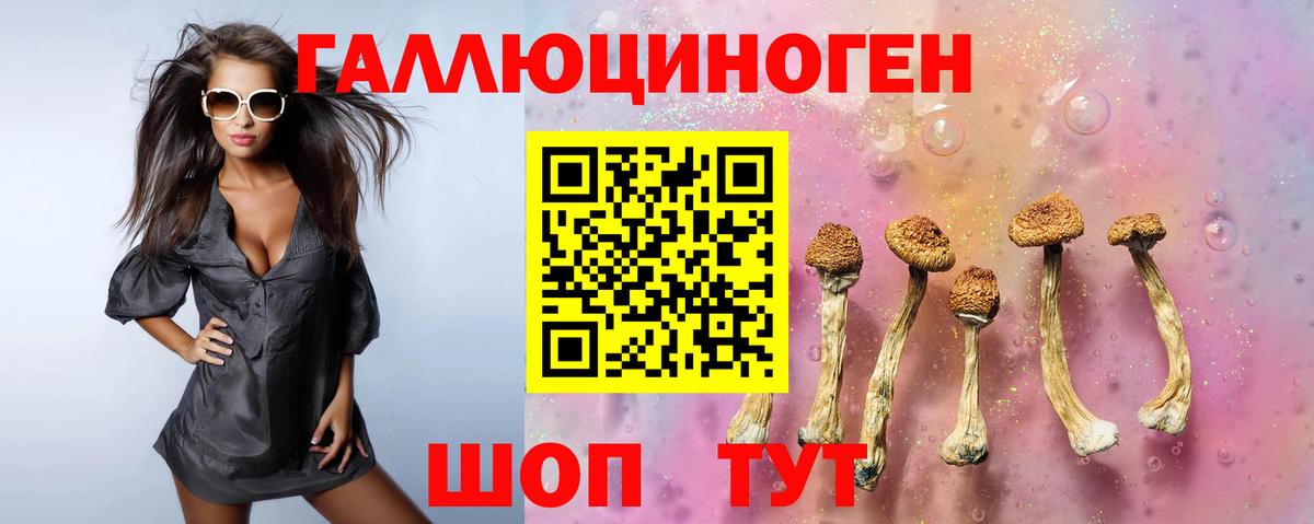 Находка  Галлюциногенные грибы ЛСД  Вход с VPN 